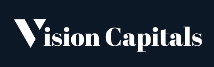 logo_visioninc